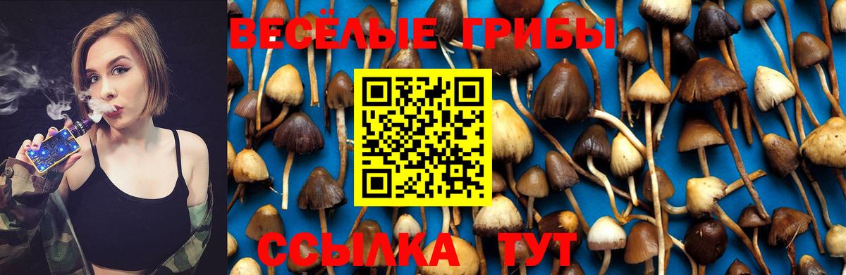 Псилоцибиновые грибы MAGIC MUSHROOMS  Псилоцибиновые грибы мухоморы  Вход с VPN  Топки 