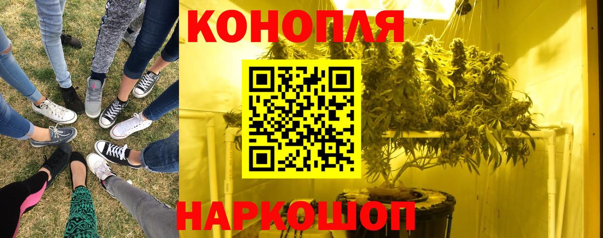 Бошки Шишки конопля  МАРИХУАНА AK-47  Вход с VPN  Топки  Бошки марихуана индика 